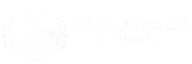 CASA Logo