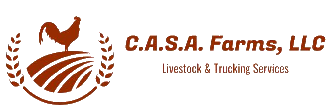 CASA Logo